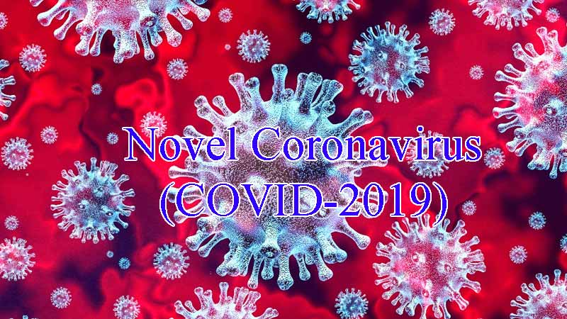 Novel Coronavirus pneumonia, COVID-2019