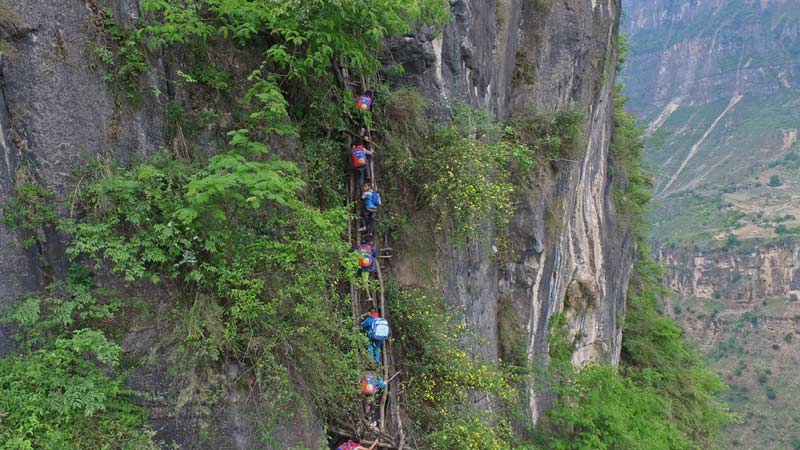 School children climb vines on a cliff to reach their homes on top of an 800-meter-high cliff in Liangshan, Sichuan Province, China.