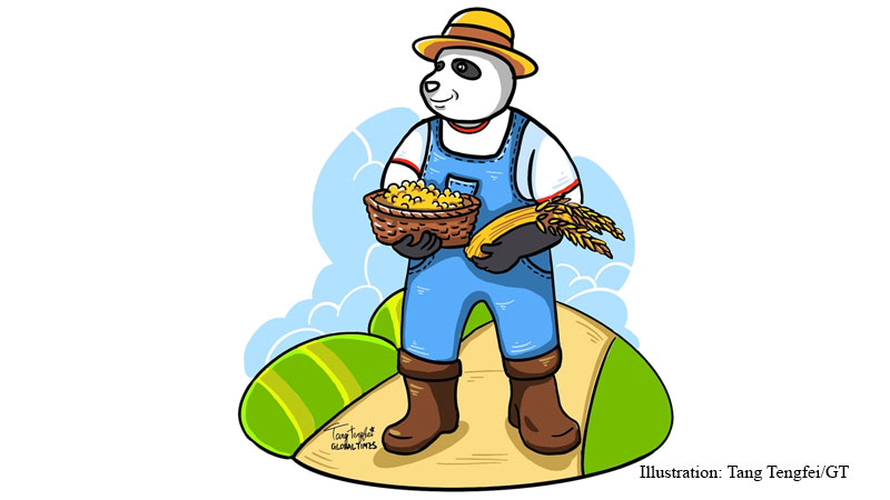 China's food supply gap, Peasant