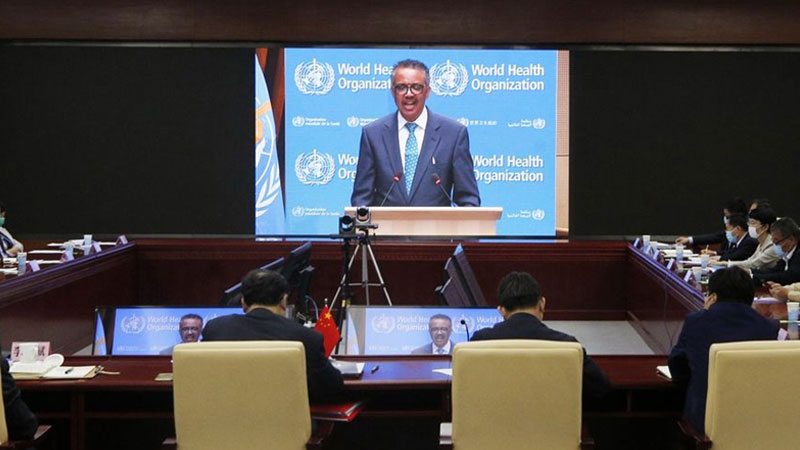 who, director general