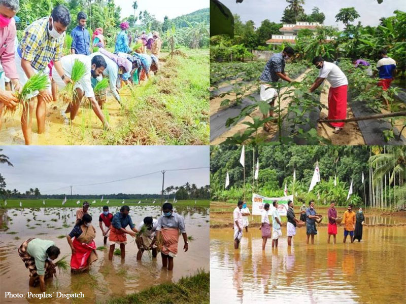 DYFI, Kerala, youths, volunteer