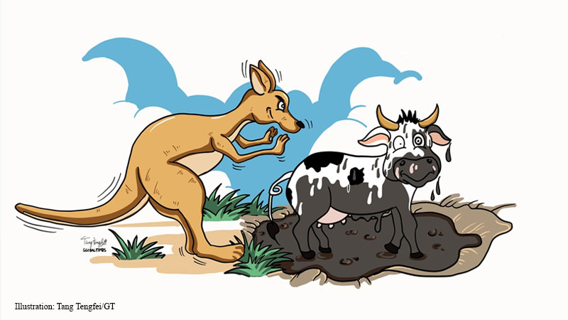 Aussie farmers, kangaroo, cow, cartoon