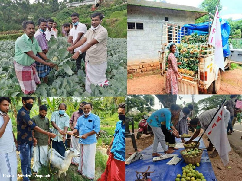 small scale farmers, India, kerala