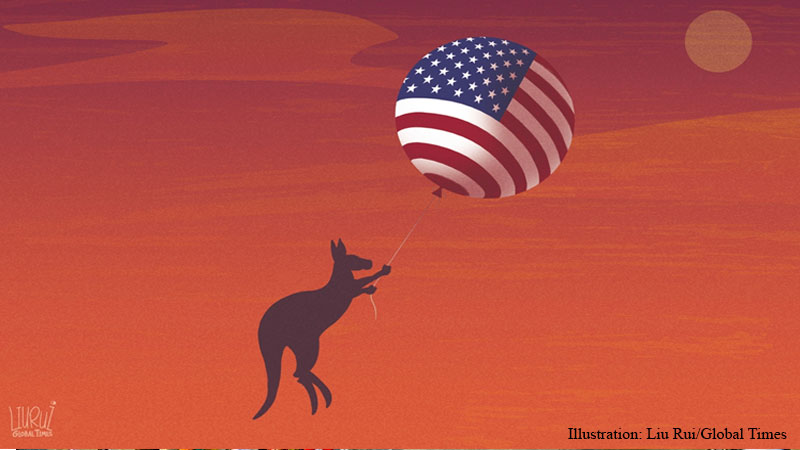 australia-usa, china-australia, kangaroo, liu rui, cartoon