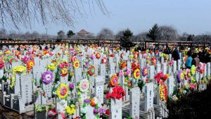 Chinese consumption fires on all cylinders during Qingming Festival holidays