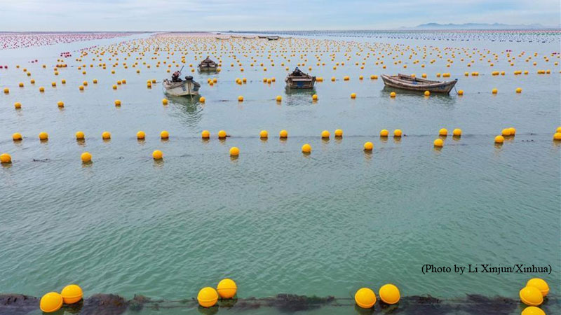 Aquaculture, wastewater treatment stocks rise following Japan's controversial decision, water, fukushima, radioactive water,