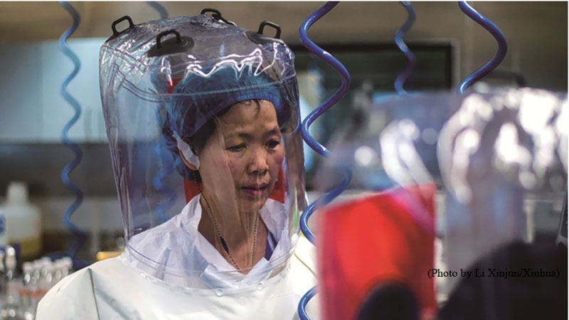 Shi Zhengli, Wuhan Institute of Virology, WIV,