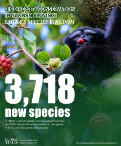 biodiverssity conservation, china,