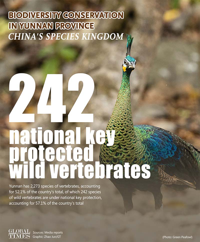 biodiverssity conservation, china,