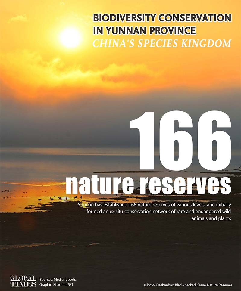 biodiverssity conservation, china,