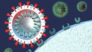 Omicron, variant of COVID-19