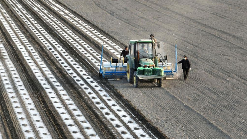 seeding machine, xinjiang,