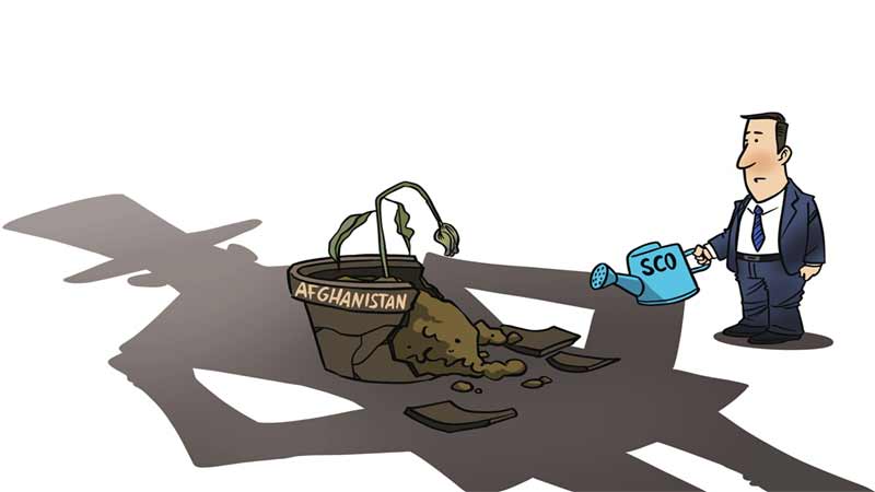 Illustration: Liu Rui/GT