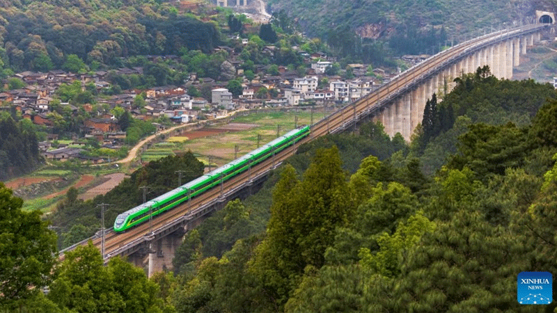 An Fuxing bullet train runs on the China's section of the China-Laos Railway on Jan. 27, 2023. Photo: Xinhua