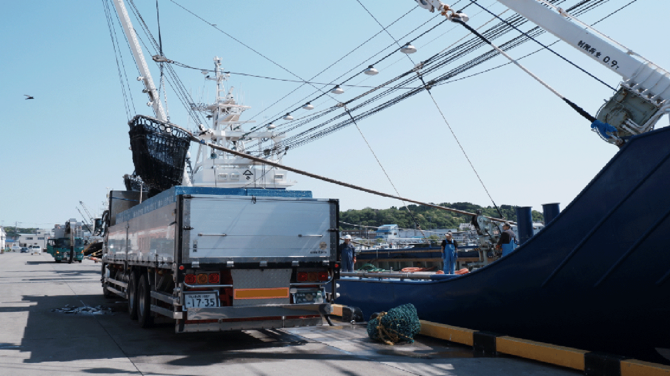 In Onahama fishing port, Fukushima Prefecture, the fishermen load their catch onto a waiting truck on May 11, 2023.