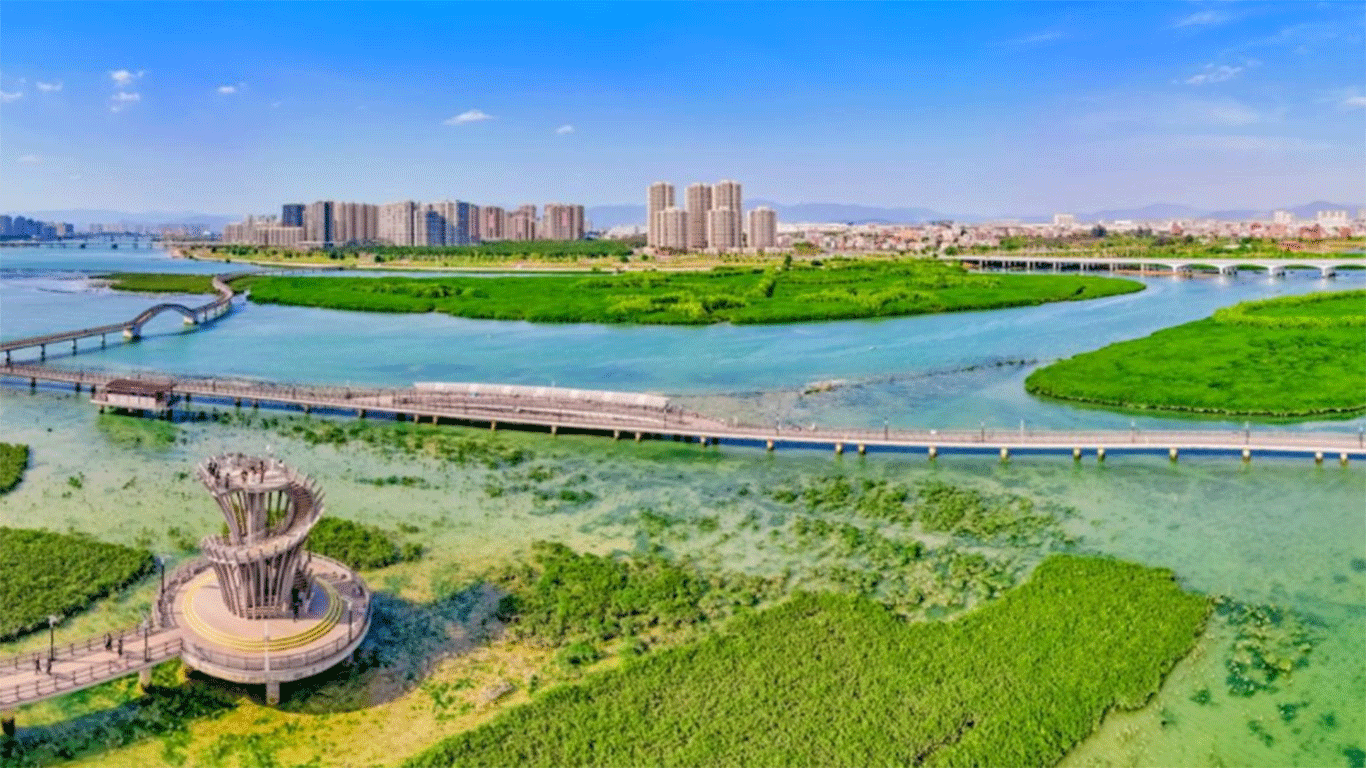 A view of the Xiatanwei Mangrove Park Photo: Chen Bo