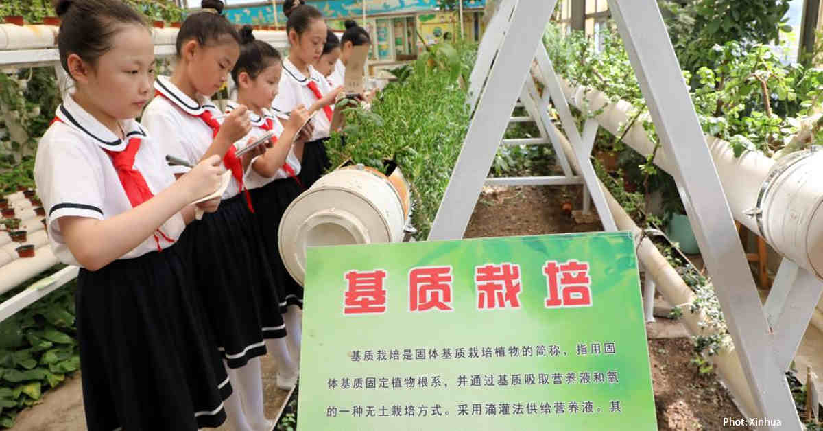 Students observe the growth of plants at a greenhouse of a primary school in Boxing County, east China's Shandong Province, Sept. 1, 2024. Schools across China hosted activities to mark the start of the new semester on Sunday. (Photo by Chen Bin/Xinhua)