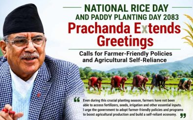 NCP Convenor Prachanda Extends Greetings on National Rice Day, Calls for Farmer-Friendly Policies and Agricultural Self-Reliance