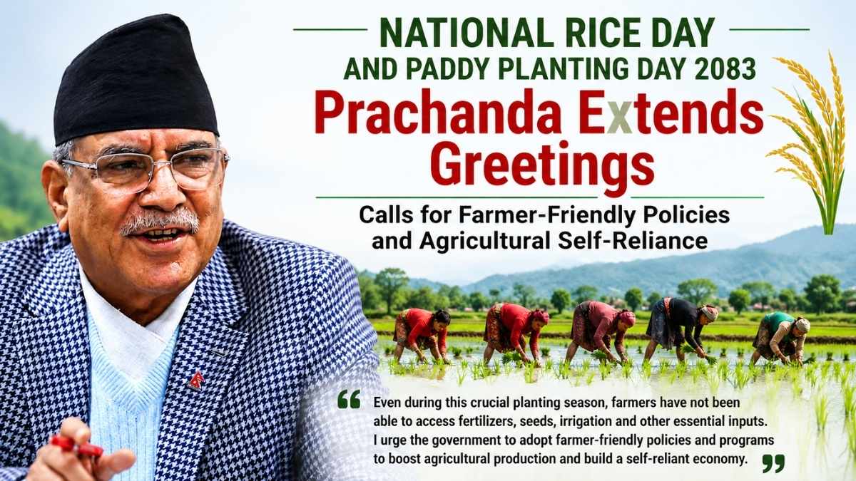 NCP Convenor Prachanda Extends Greetings on National Rice Day, Calls for Farmer-Friendly Policies and Agricultural Self-Reliance