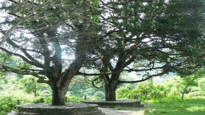 देउरालीलाई चिठी